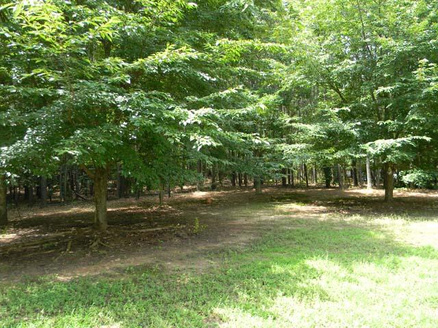 928 Talley St, Hampton, GA 30228 photo 22