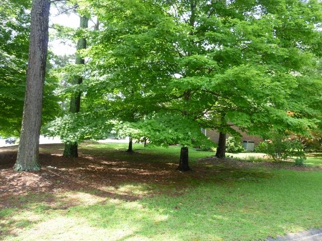1661 Eldonlas Ct, Stone Mountain, GA 30087 photo 2