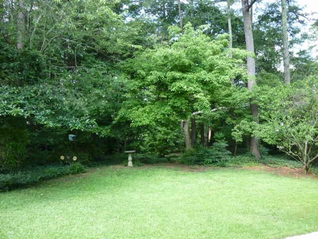 1661 Eldonlas Ct, Stone Mountain, GA 30087 photo 25