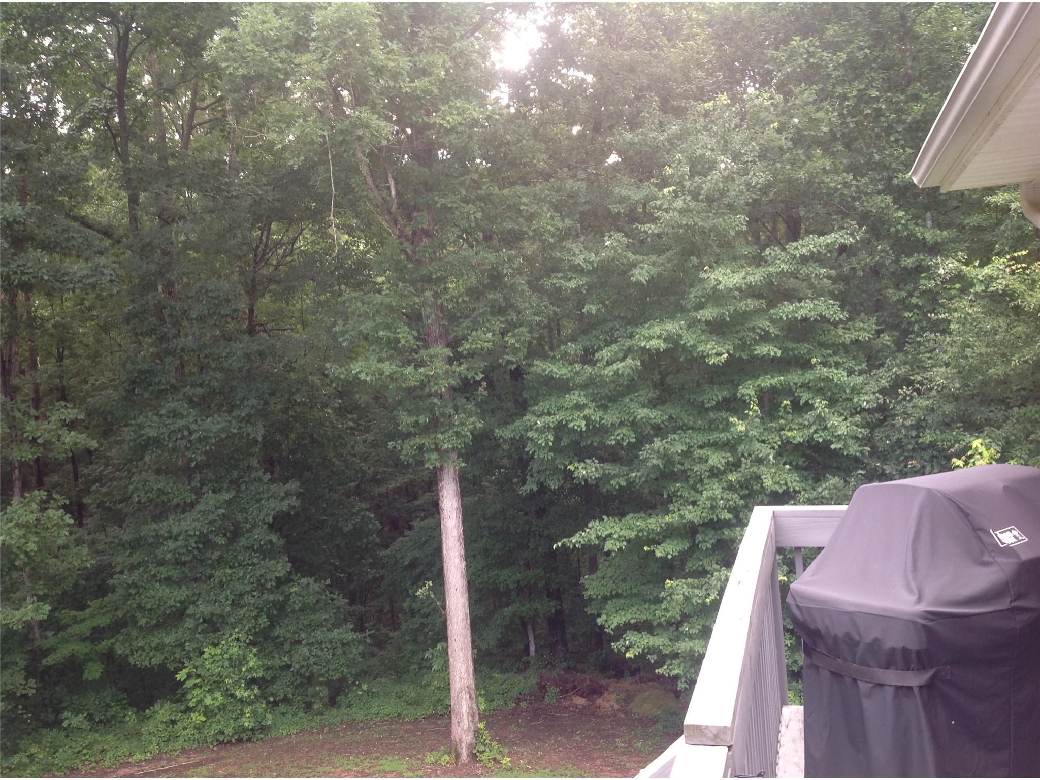 1609 Randolph Ct, Monroe, GA 30655 photo 13