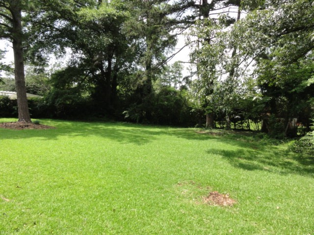 205 Larcom Ln, Griffin, GA 30224 photo 9