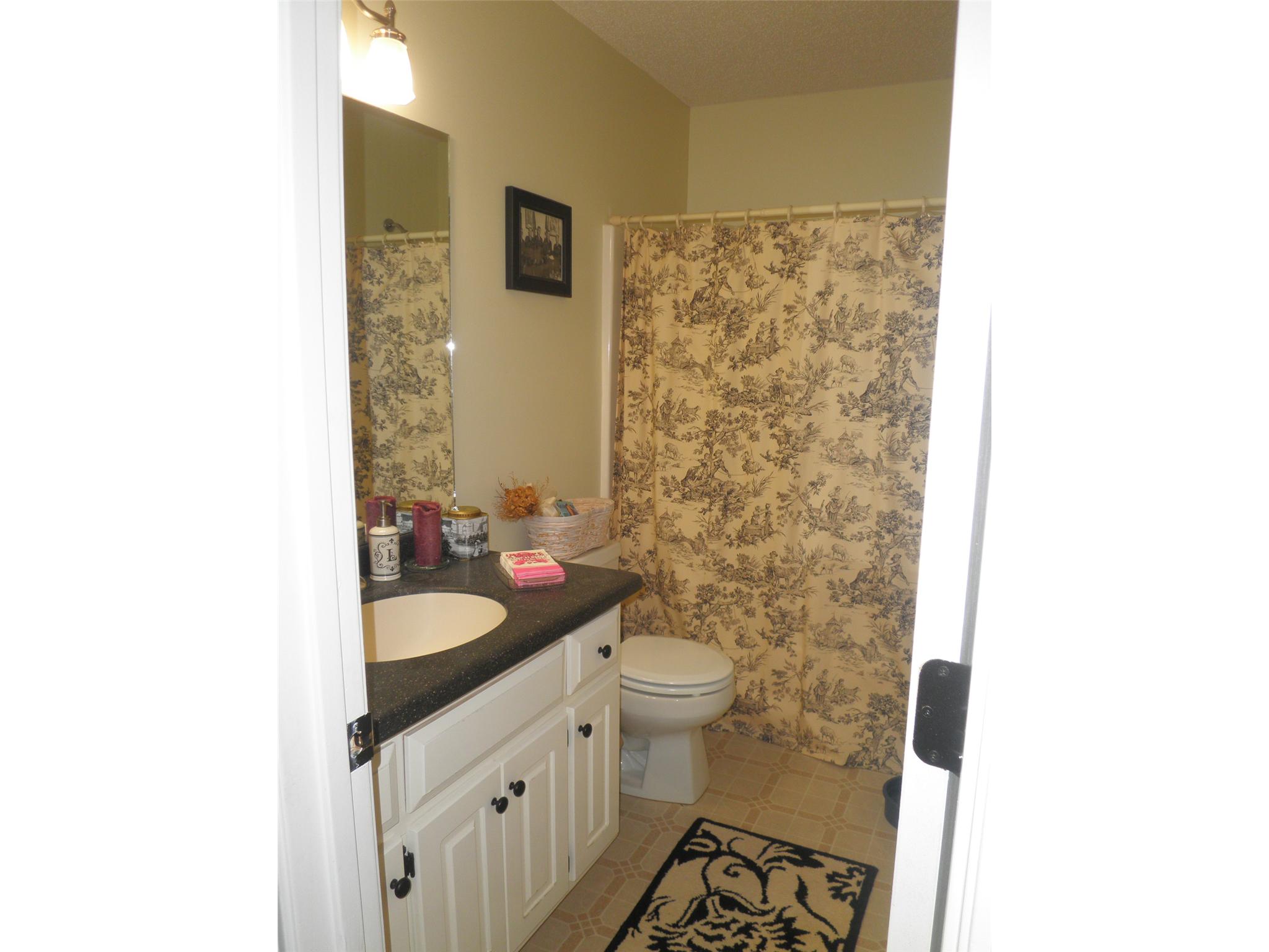 115 Queens Ct, Tyrone, GA 30290 photo 11