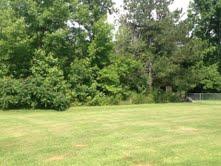 136 Governor Ln, Temple, GA 30179 photo 6