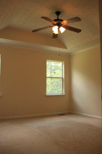 8610 Downs Rd, Winston, GA 30187 photo 10