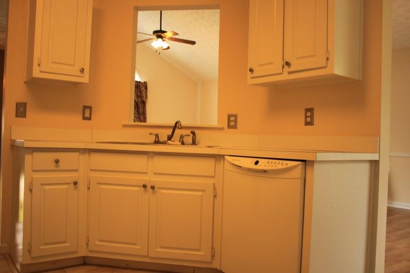 8610 Downs Rd, Winston, GA 30187 photo 8