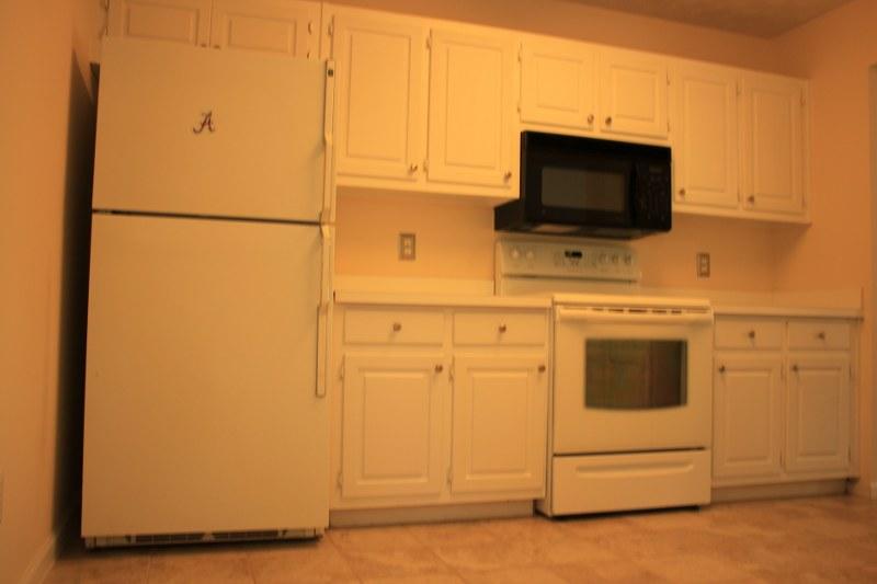 8610 Downs Rd, Winston, GA 30187 photo 7