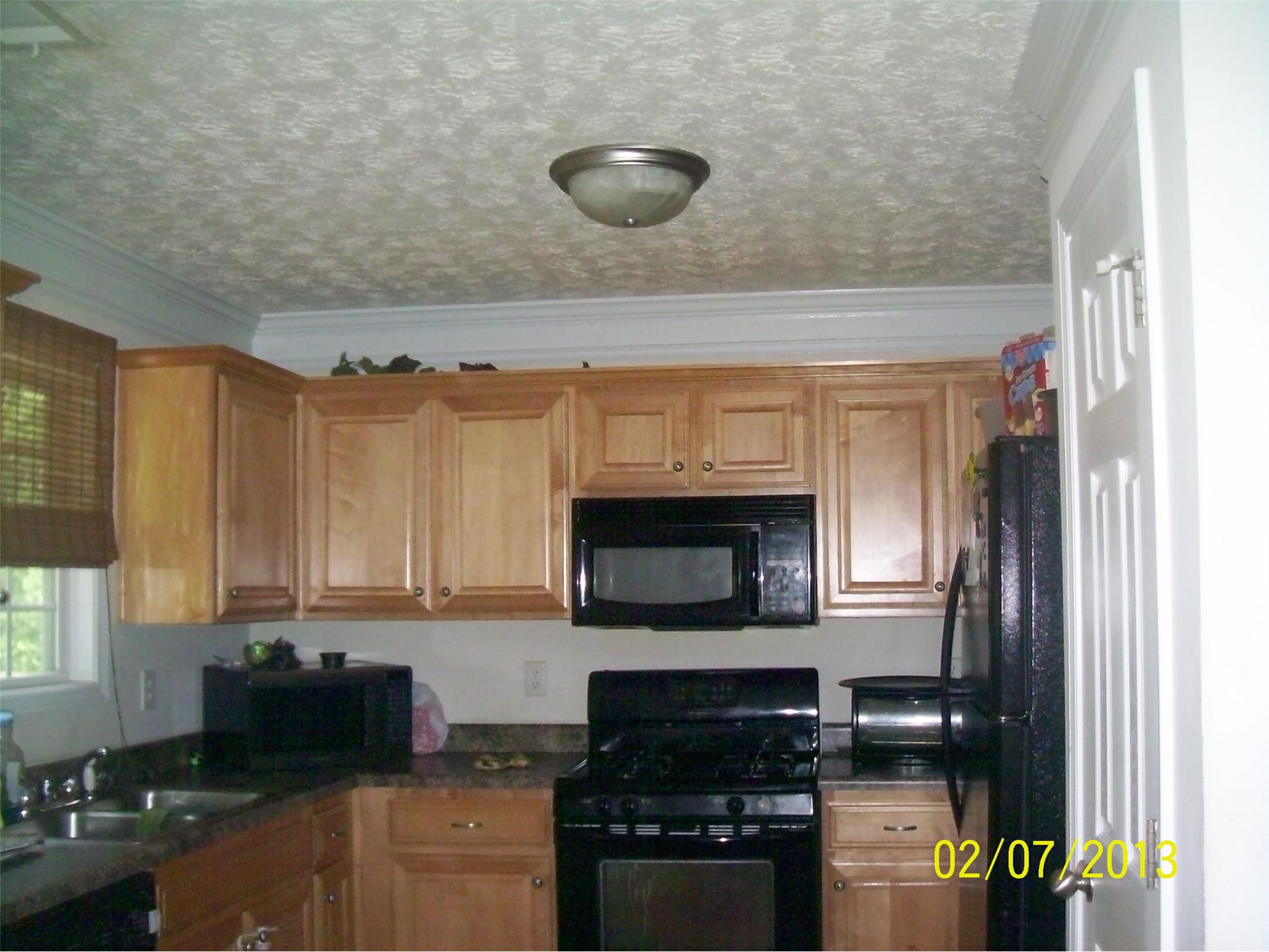 271 Fern Ct, Hampton, GA 30228 photo 3