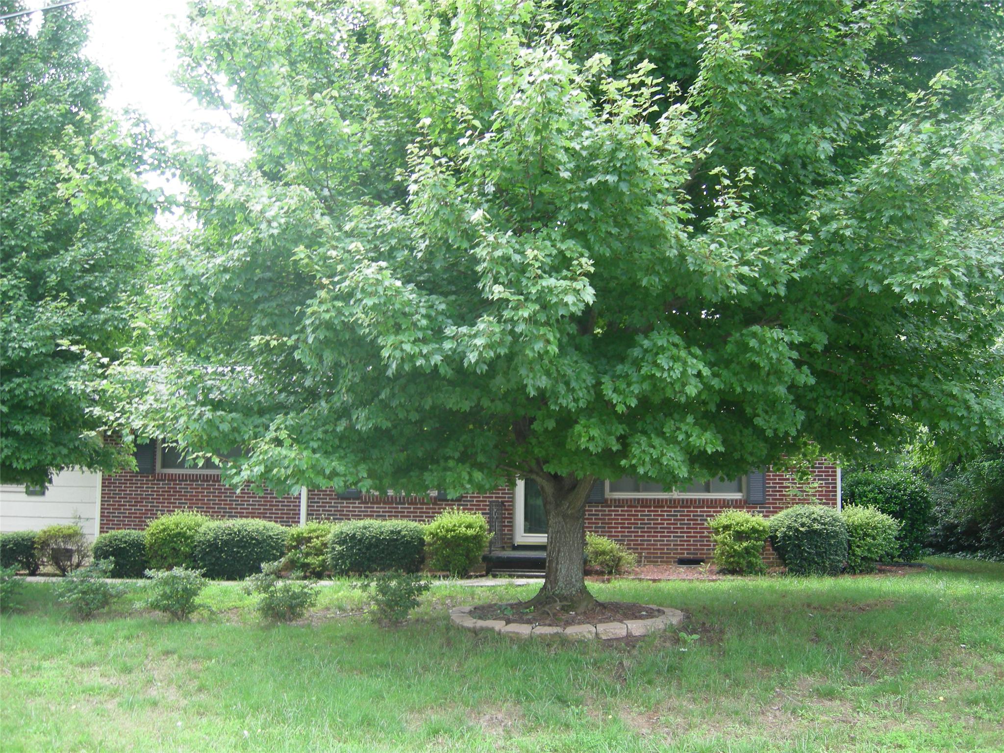 115 Cherokee Rd, Cornelia, GA 30531 photo 8