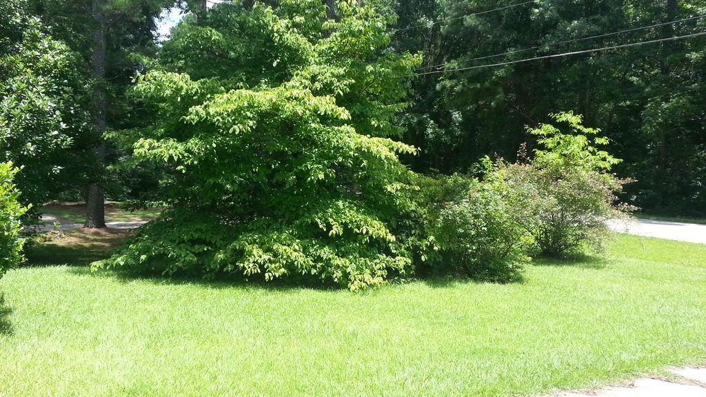 4453 Rex Rd, Rex, GA 30273 photo 14