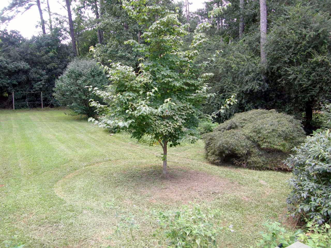 4453 Rex Rd, Rex, GA 30273 photo 21