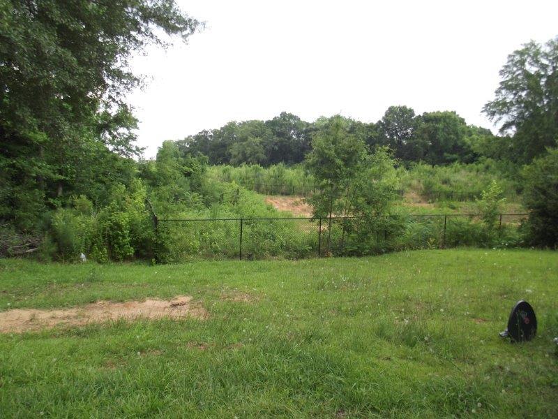 11528 E Lovejoy, Hampton, GA 30228 photo 22