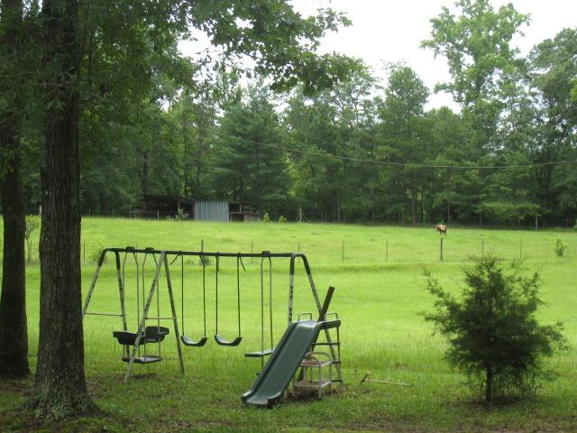 260 Cook Rd, Thomaston, GA 30286 photo 16
