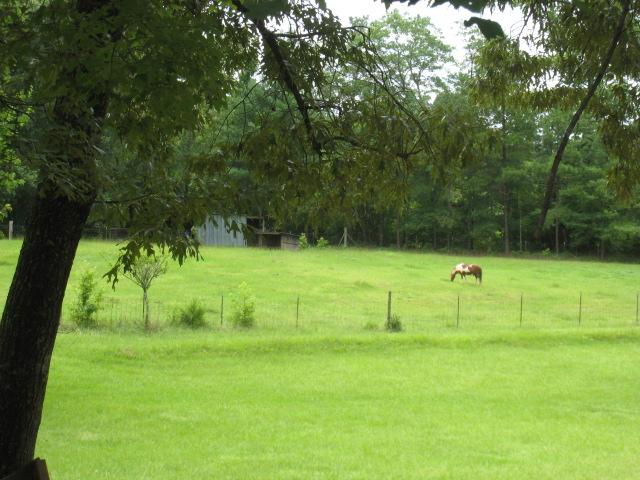 260 Cook Rd, Thomaston, GA 30286 photo 19