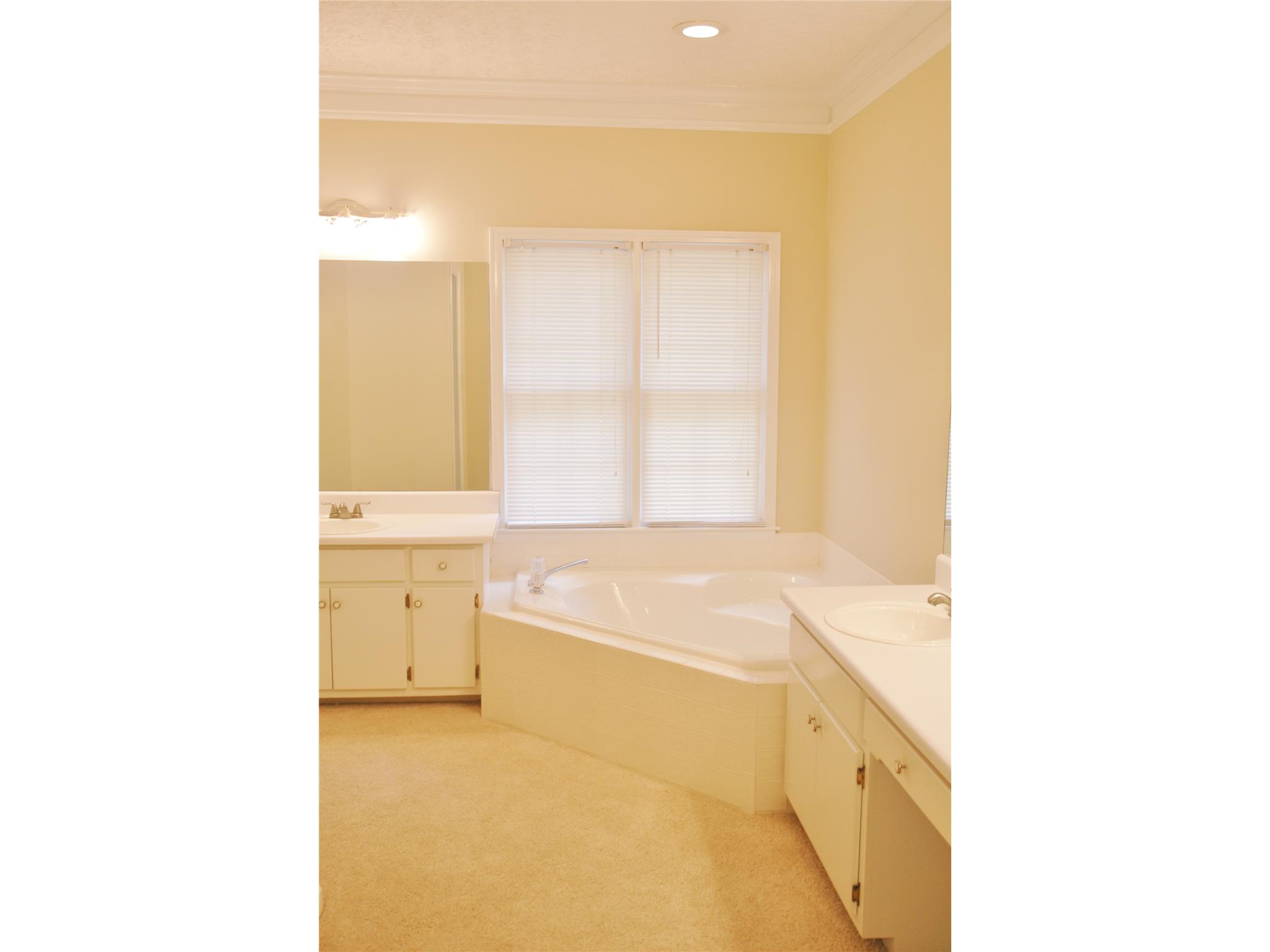 255 Weeping Willow Way, Tyrone, GA 30290 photo 13