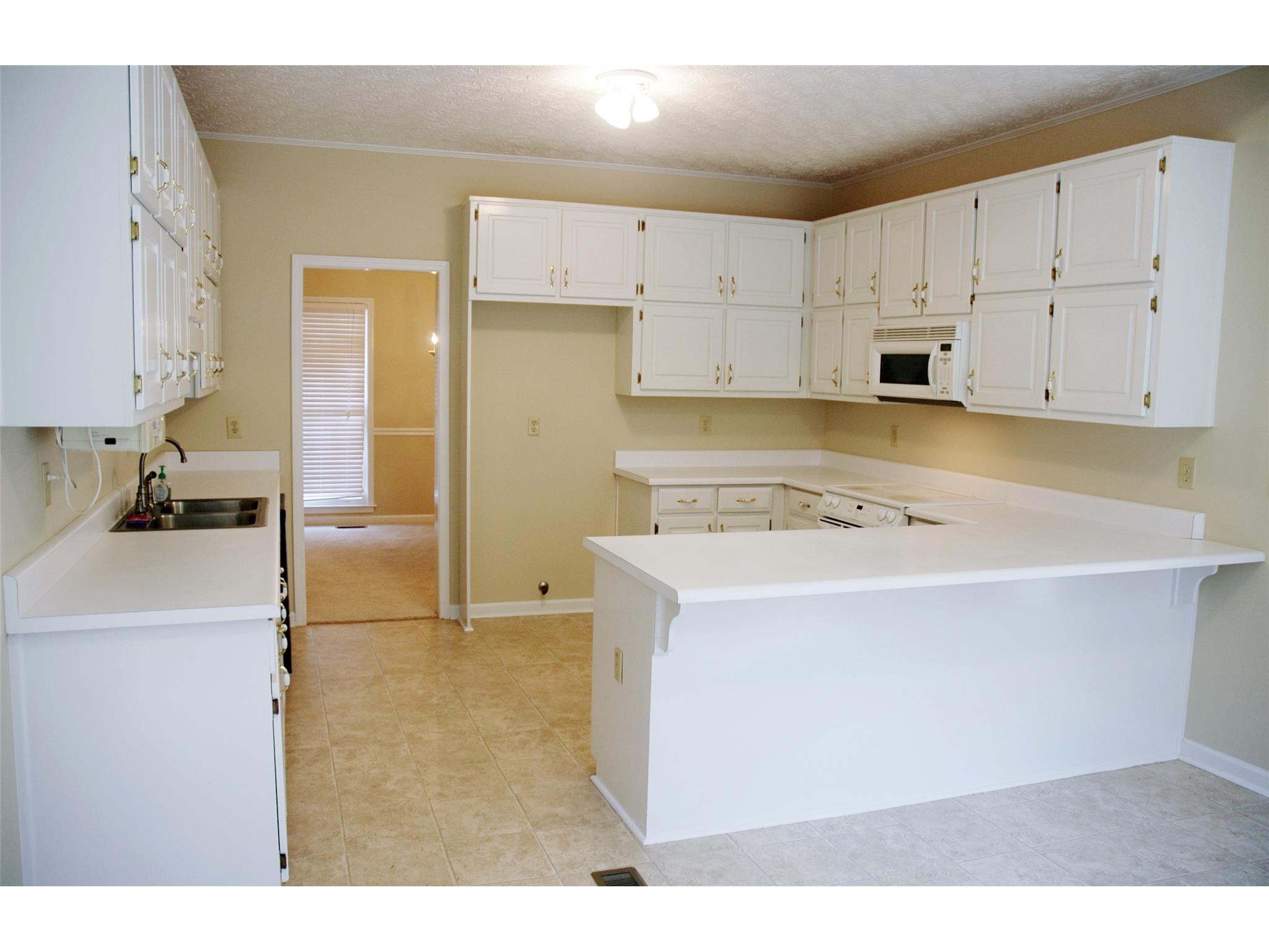 255 Weeping Willow Way, Tyrone, GA 30290 photo 8