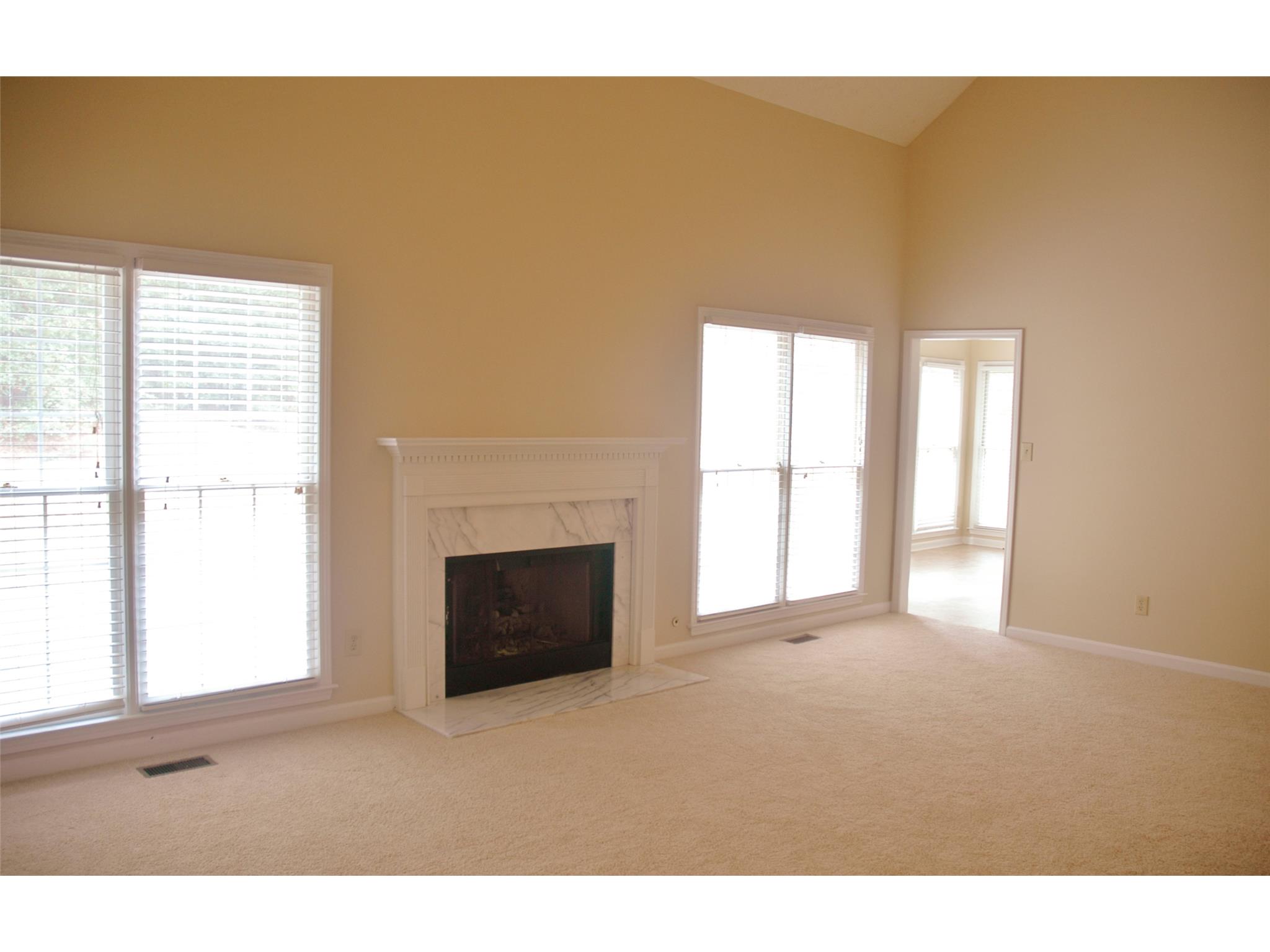 255 Weeping Willow Way, Tyrone, GA 30290 photo 4