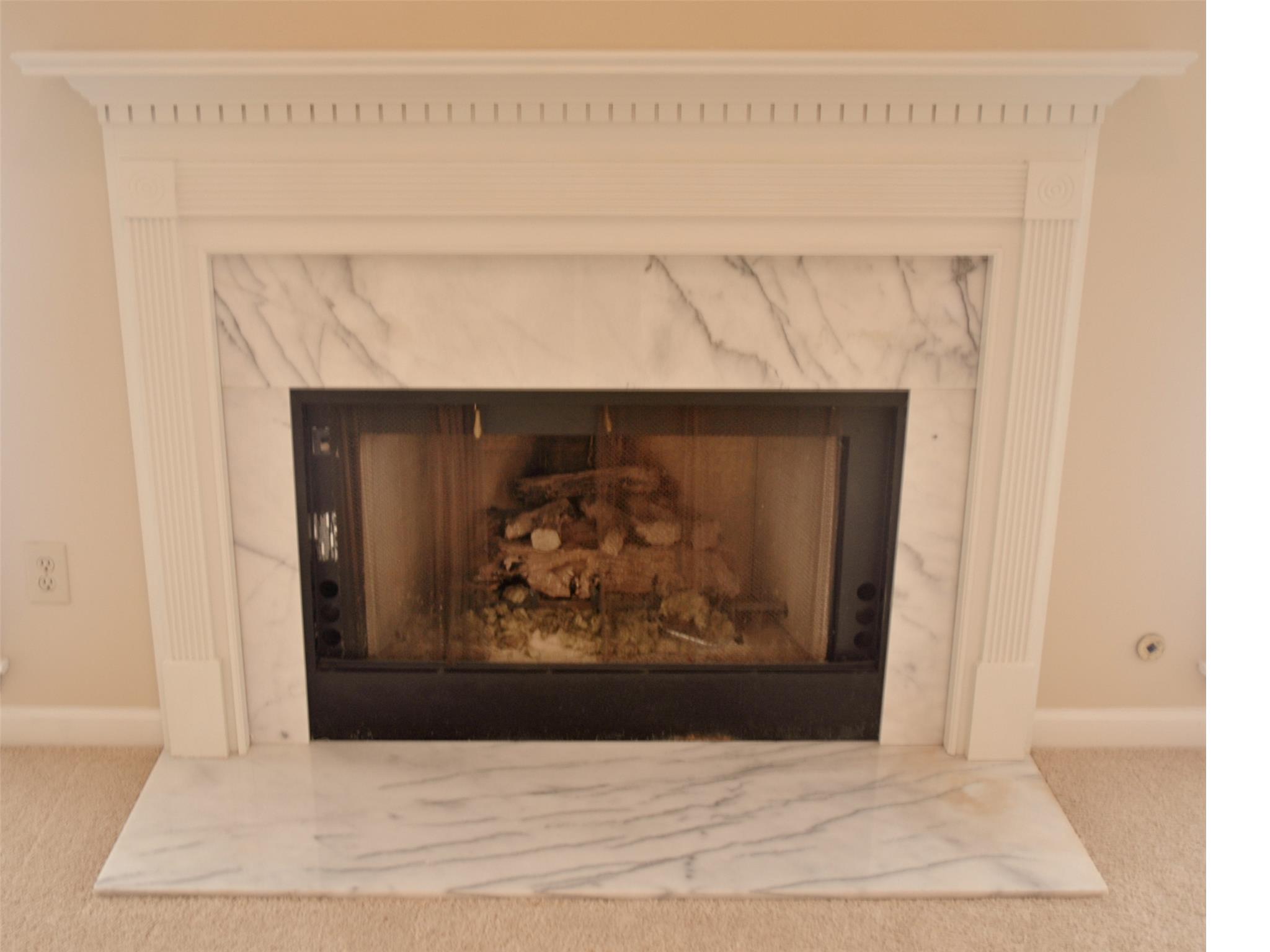 255 Weeping Willow Way, Tyrone, GA 30290 photo 5