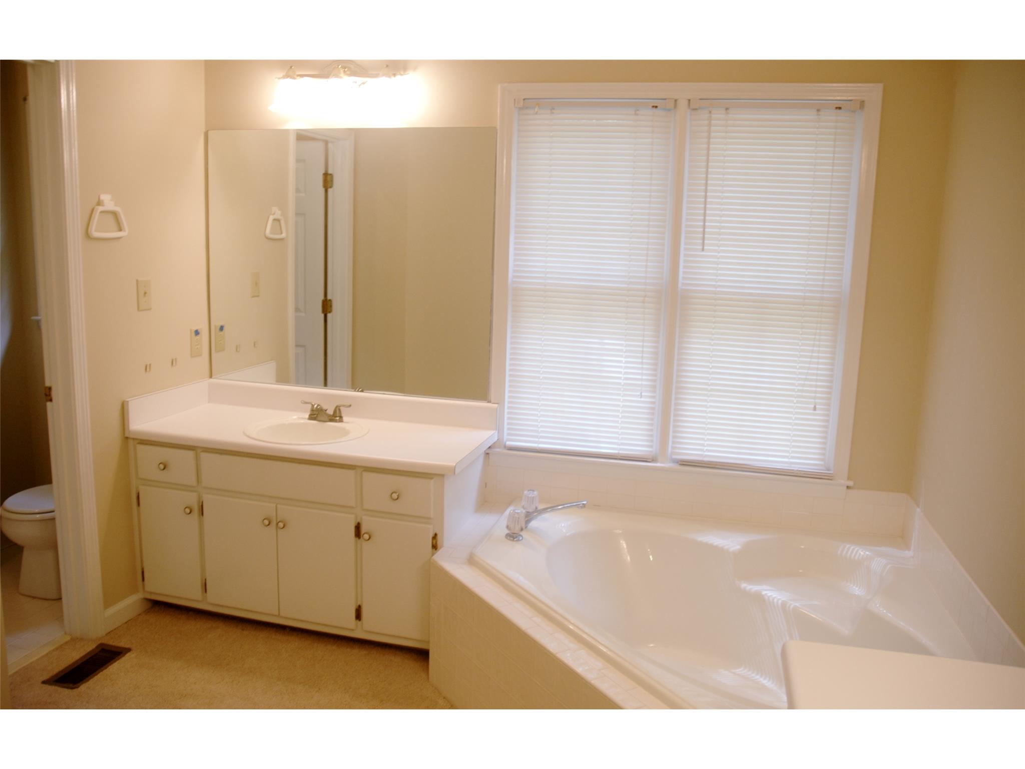 255 Weeping Willow Way, Tyrone, GA 30290 photo 11