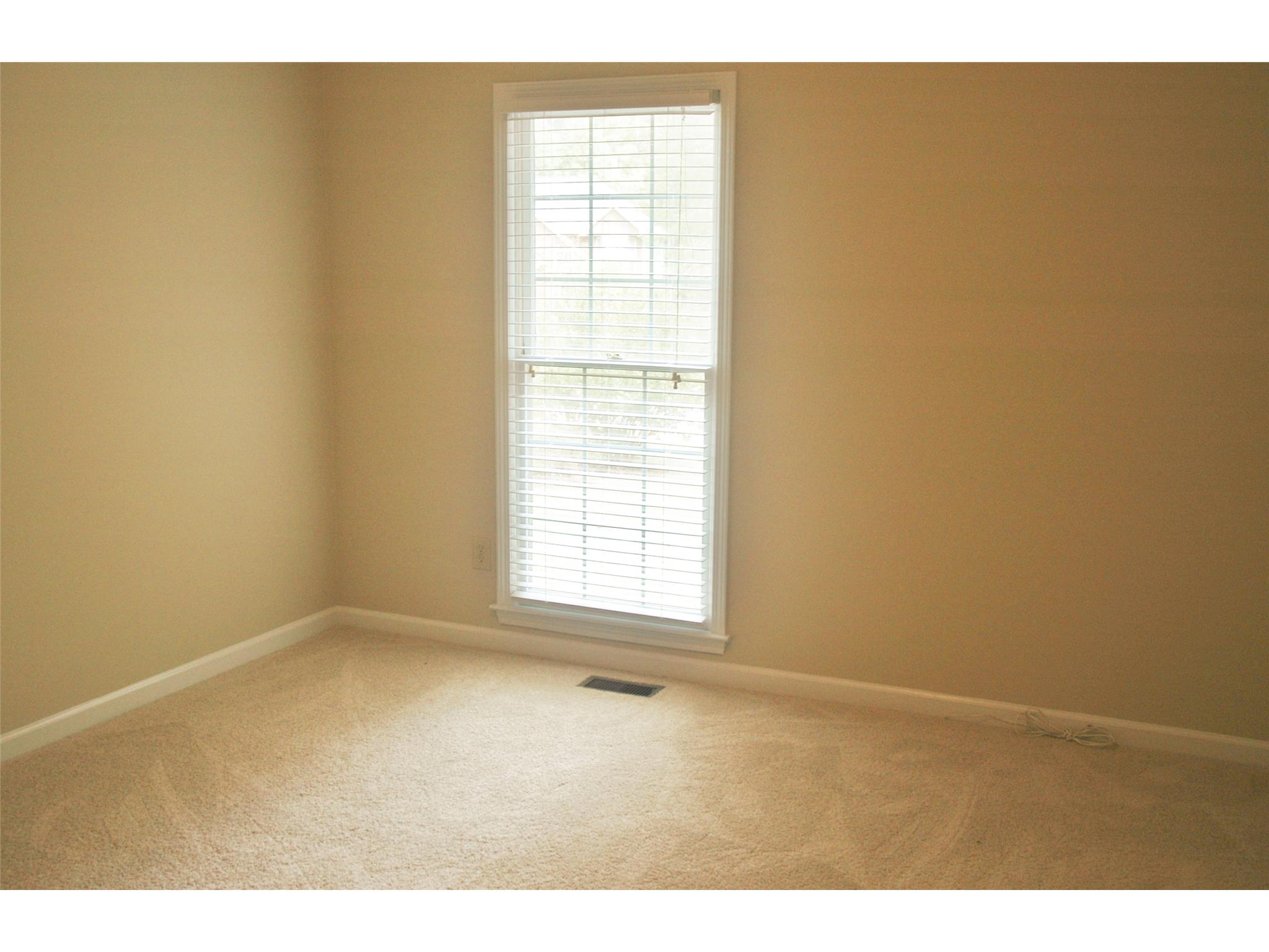255 Weeping Willow Way, Tyrone, GA 30290 photo 16