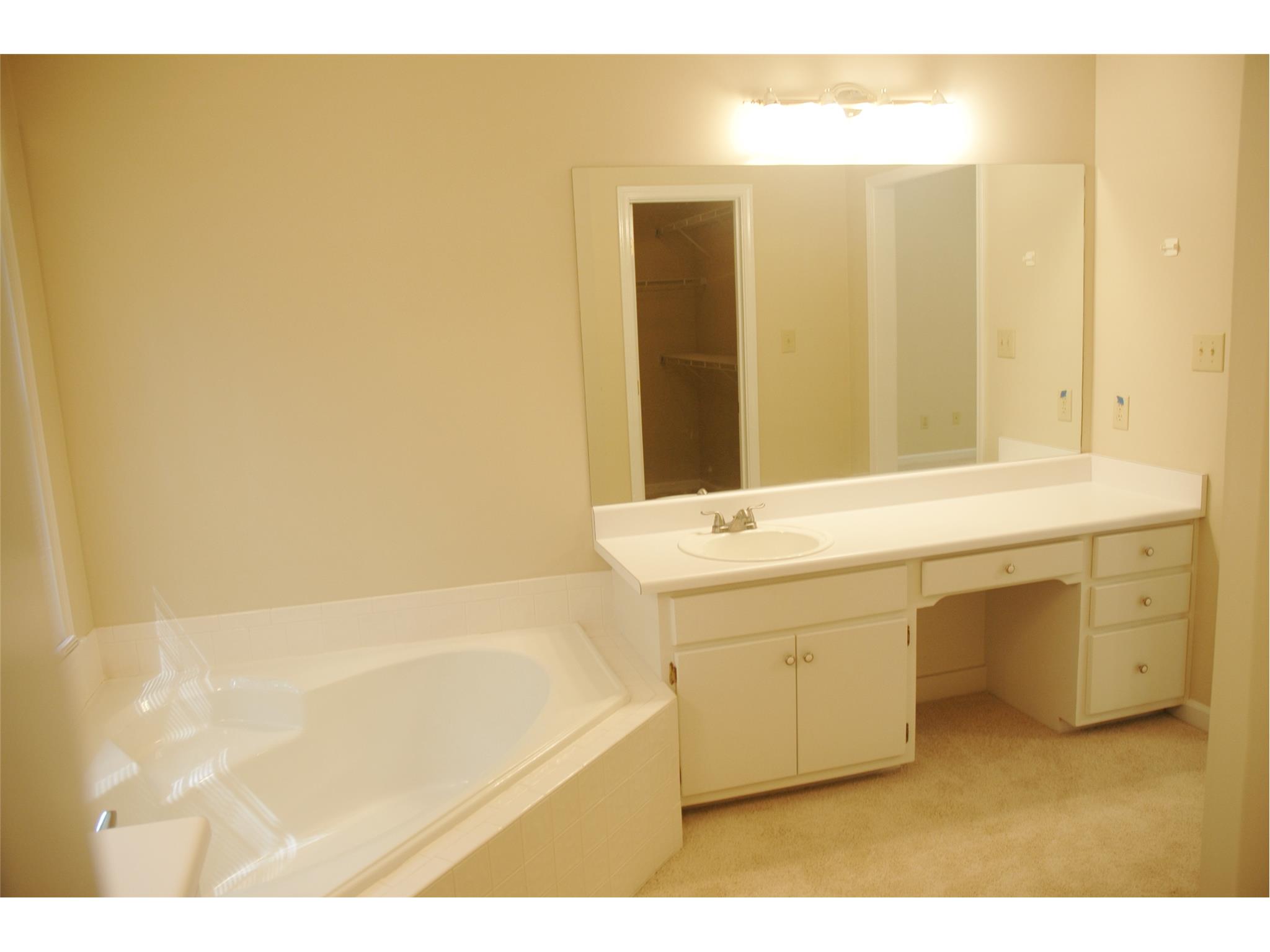 255 Weeping Willow Way, Tyrone, GA 30290 photo 12
