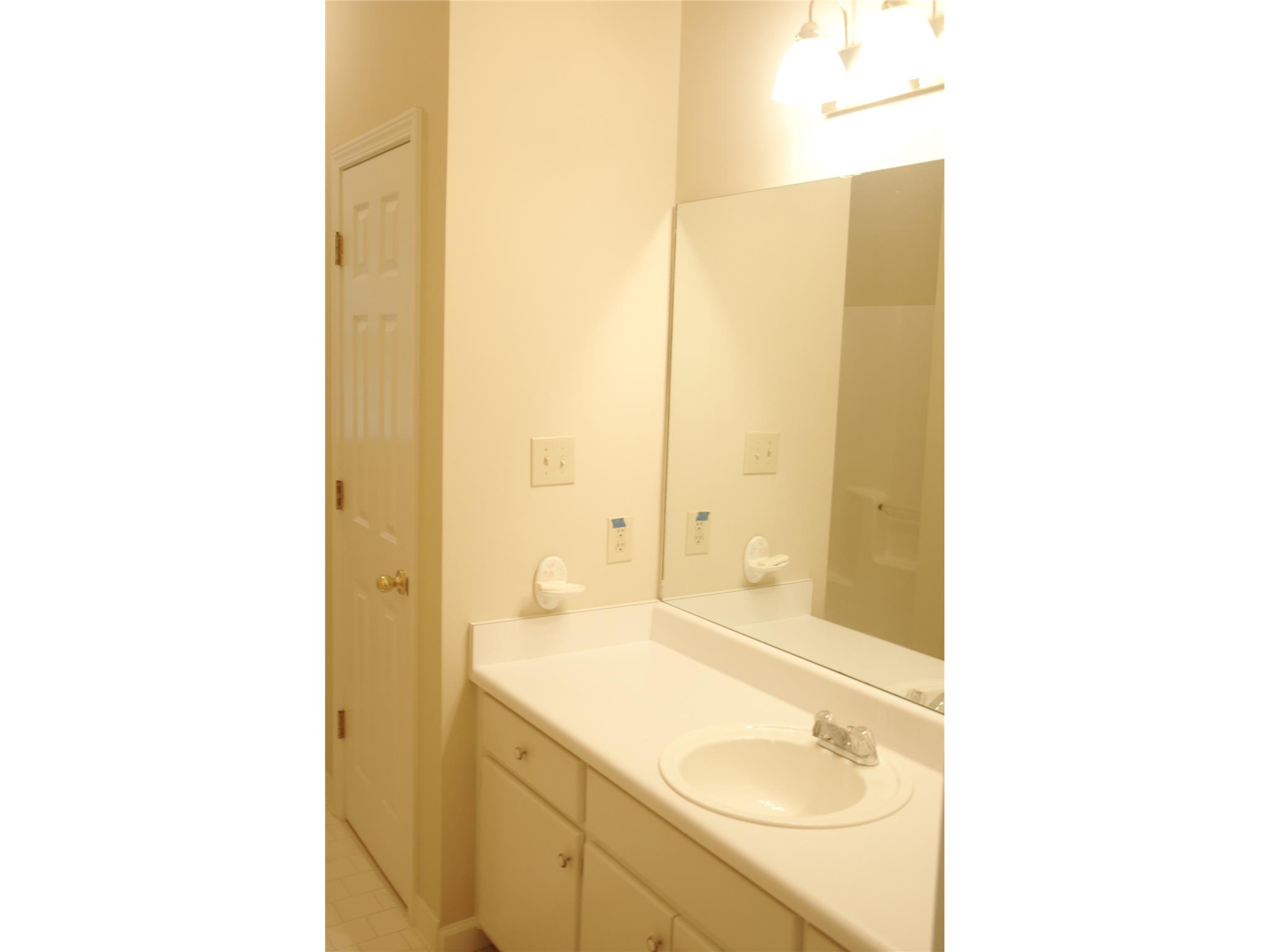 255 Weeping Willow Way, Tyrone, GA 30290 photo 17
