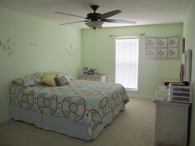 140 River View Dr, Carnesville, GA 30521 photo 10