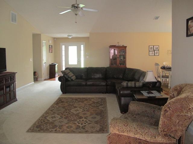 140 River View Dr, Carnesville, GA 30521 photo 6