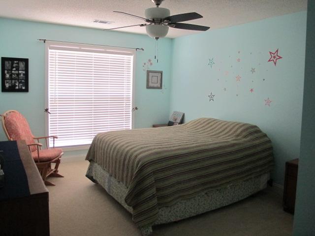 140 River View Dr, Carnesville, GA 30521 photo 9