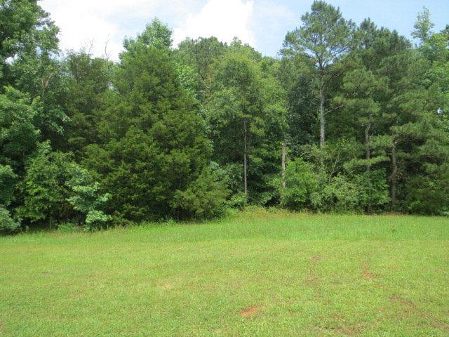 325 Kathleen Ct, Comer, GA 30629 photo 13