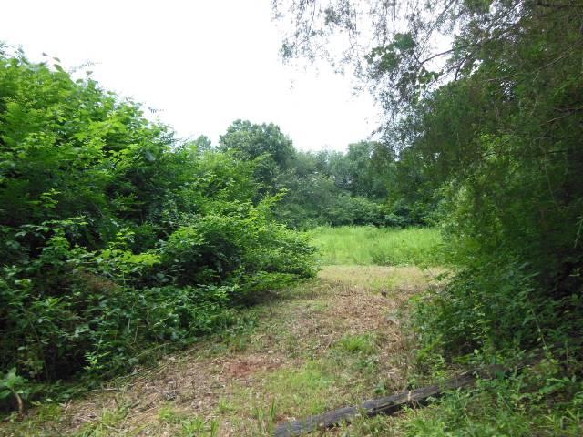 571 Yow Mill Rd, Toccoa, GA 30577 photo 5