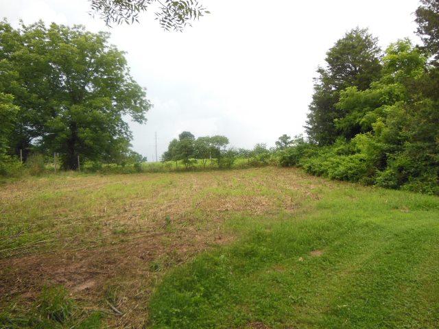 571 Yow Mill Rd, Toccoa, GA 30577 photo 8