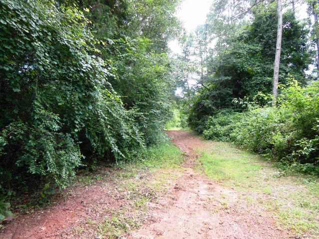 571 Yow Mill Rd, Toccoa, GA 30577 photo 6