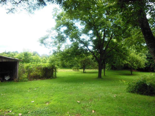 571 Yow Mill Rd, Toccoa, GA 30577 photo 24