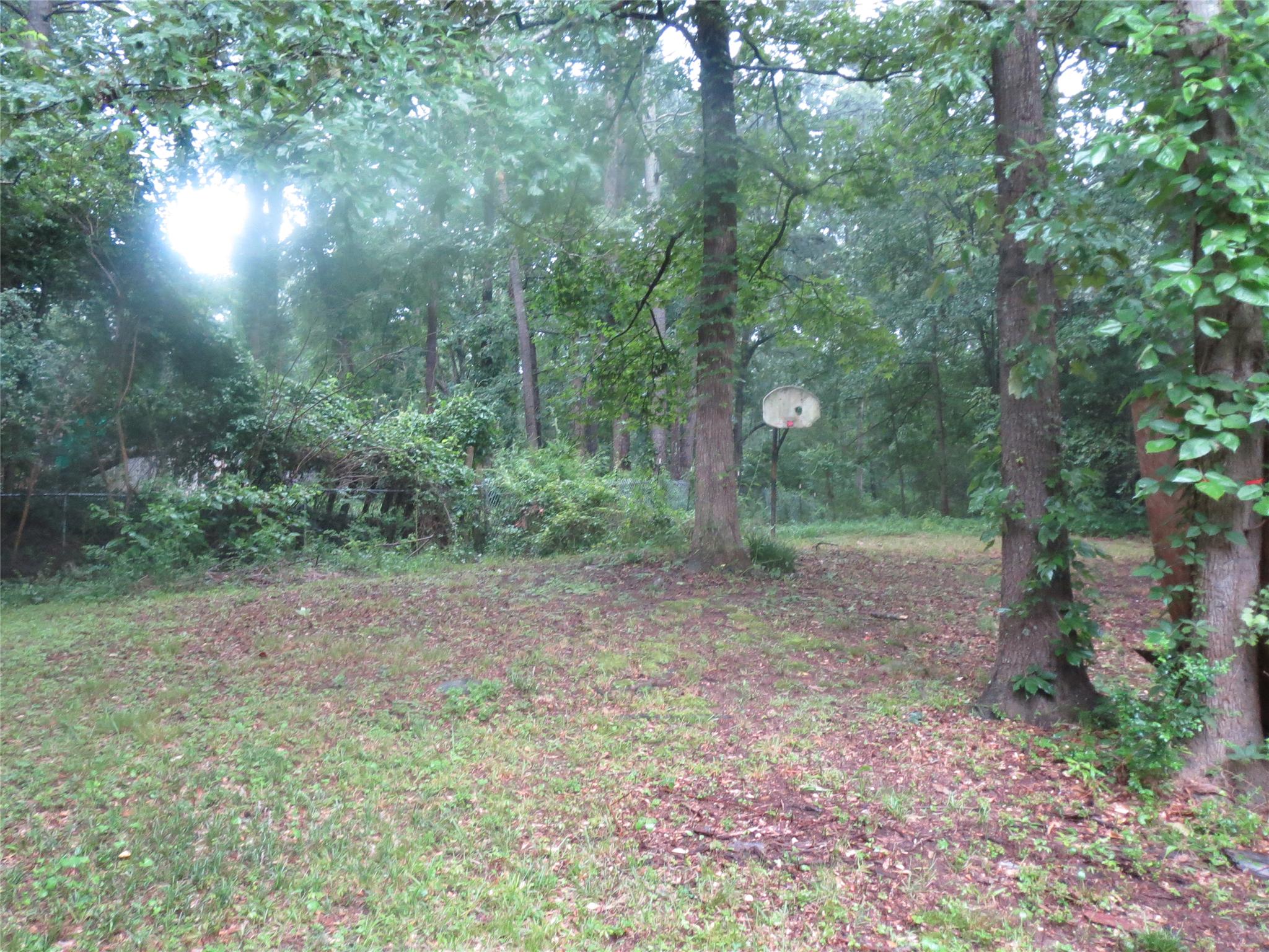 2873 Panther Ct, Rex, GA 30273 photo 6