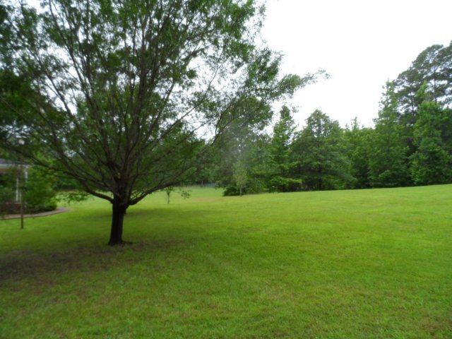 1359 Mt View Rd, Buchanan, GA 30113 photo 13