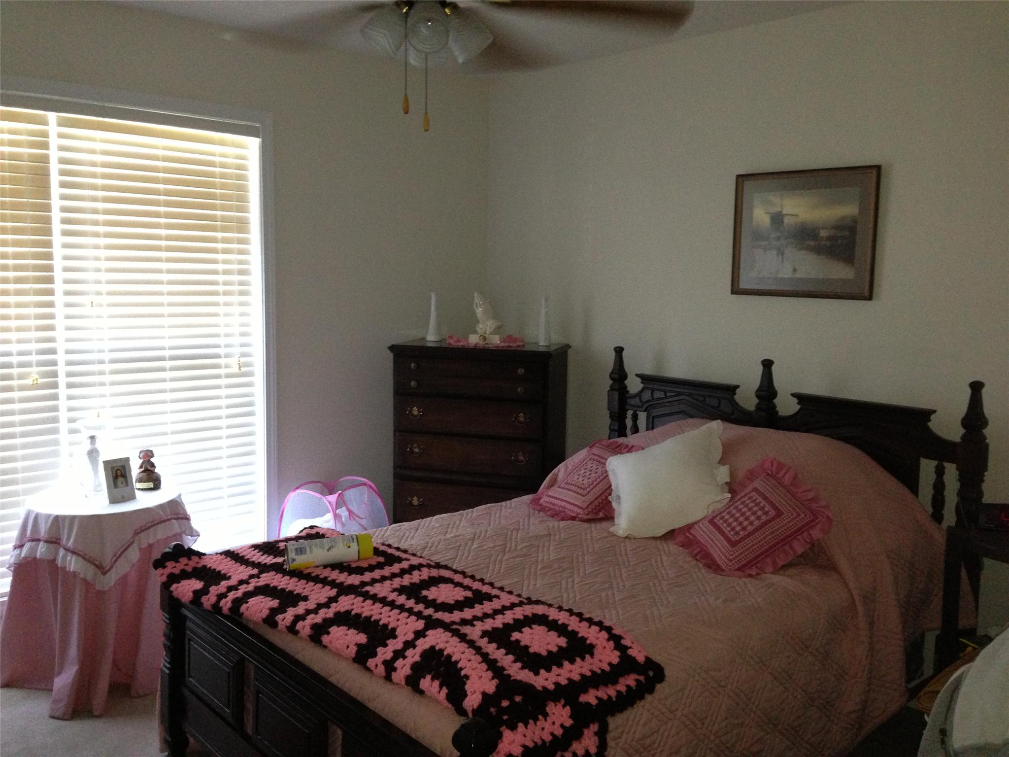 2009 Emerald Pointe Dr, Winder, GA 30680 photo 8
