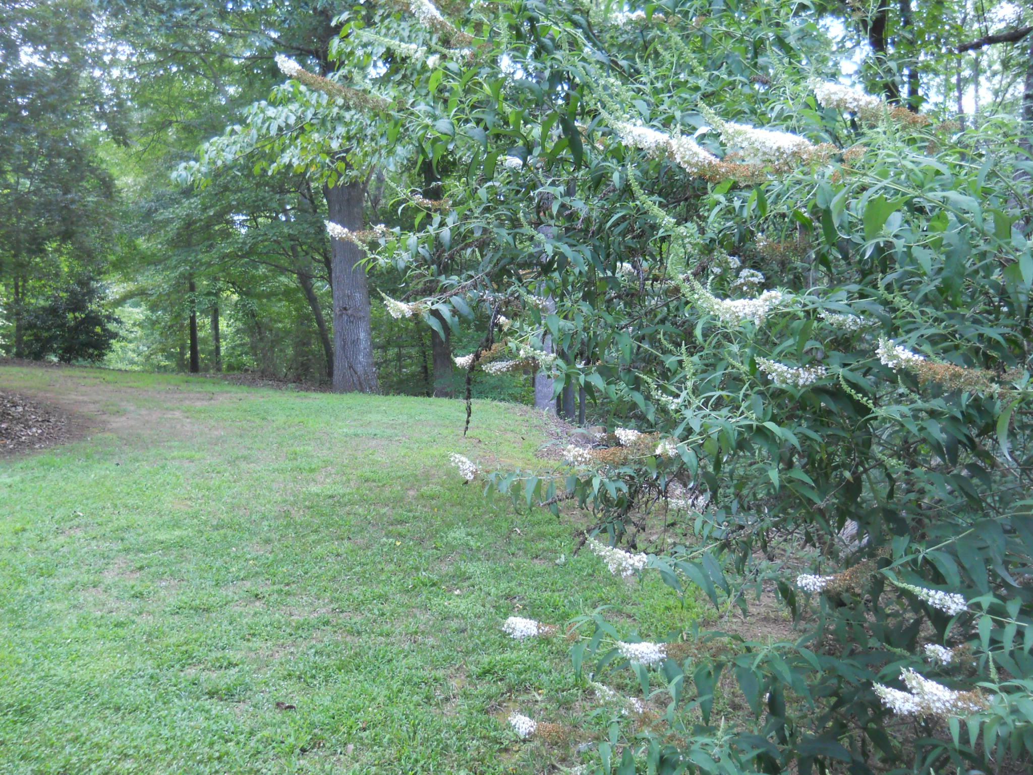 4960 Cagle Mill Rd, Lula, GA 30554 photo 8