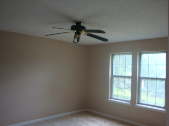 6820 Silver Maple Dr, Rex, GA 30273 photo 8