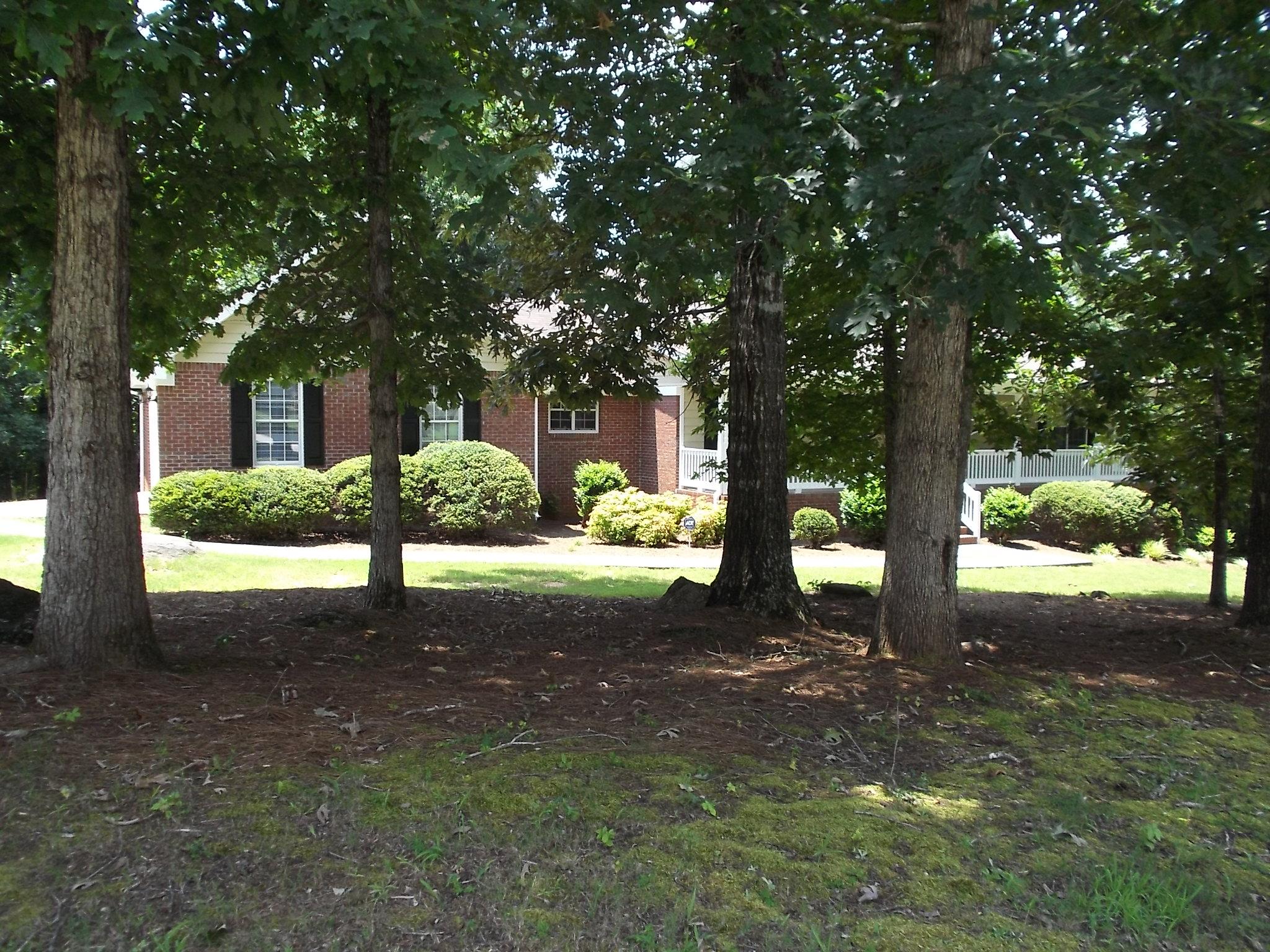 300 Pates Lake Cv, Hampton, GA 30228 photo 3