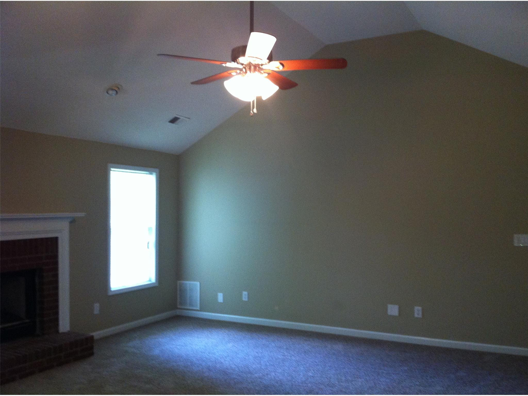 300 Pates Lake Cv, Hampton, GA 30228 photo 6
