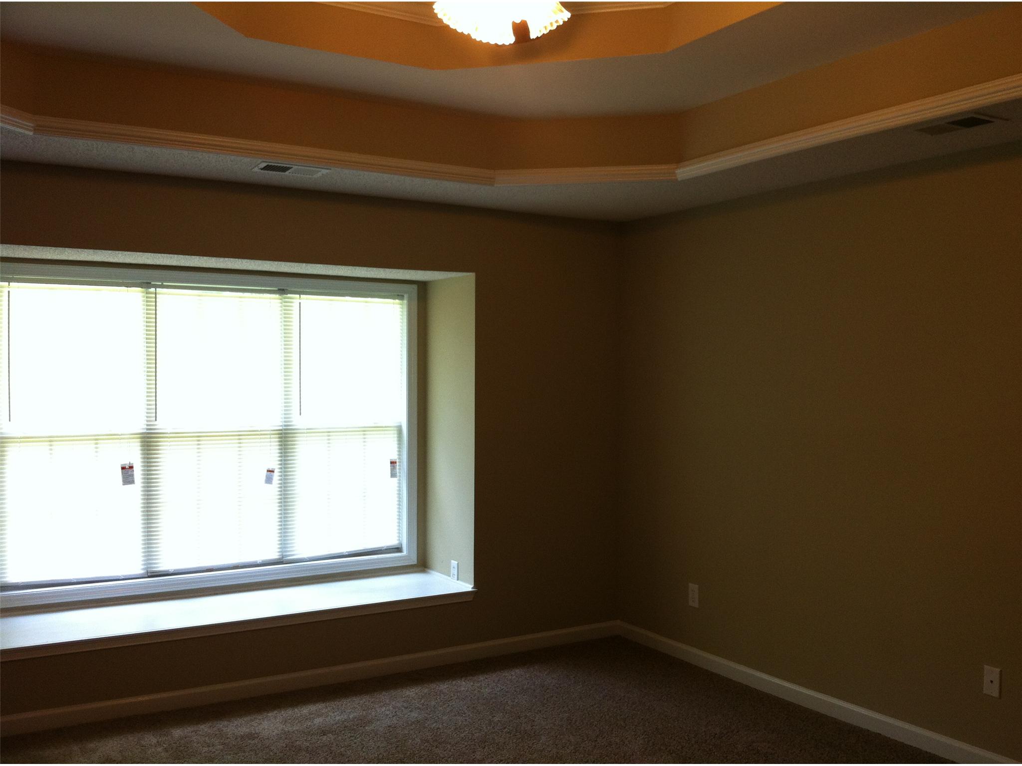 300 Pates Lake Cv, Hampton, GA 30228 photo 7