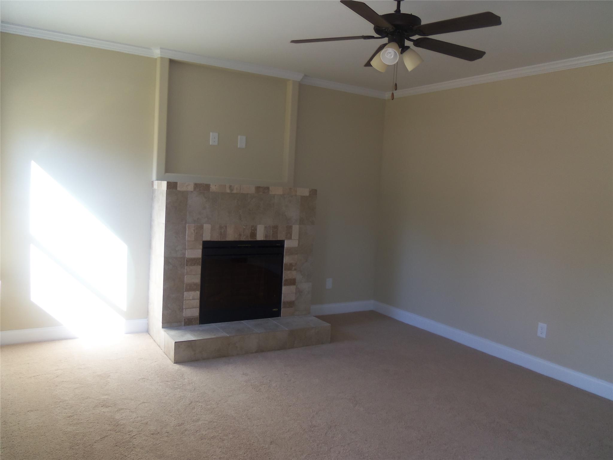 759 Sugarloaf Way, Hampton, GA 30228 photo 10