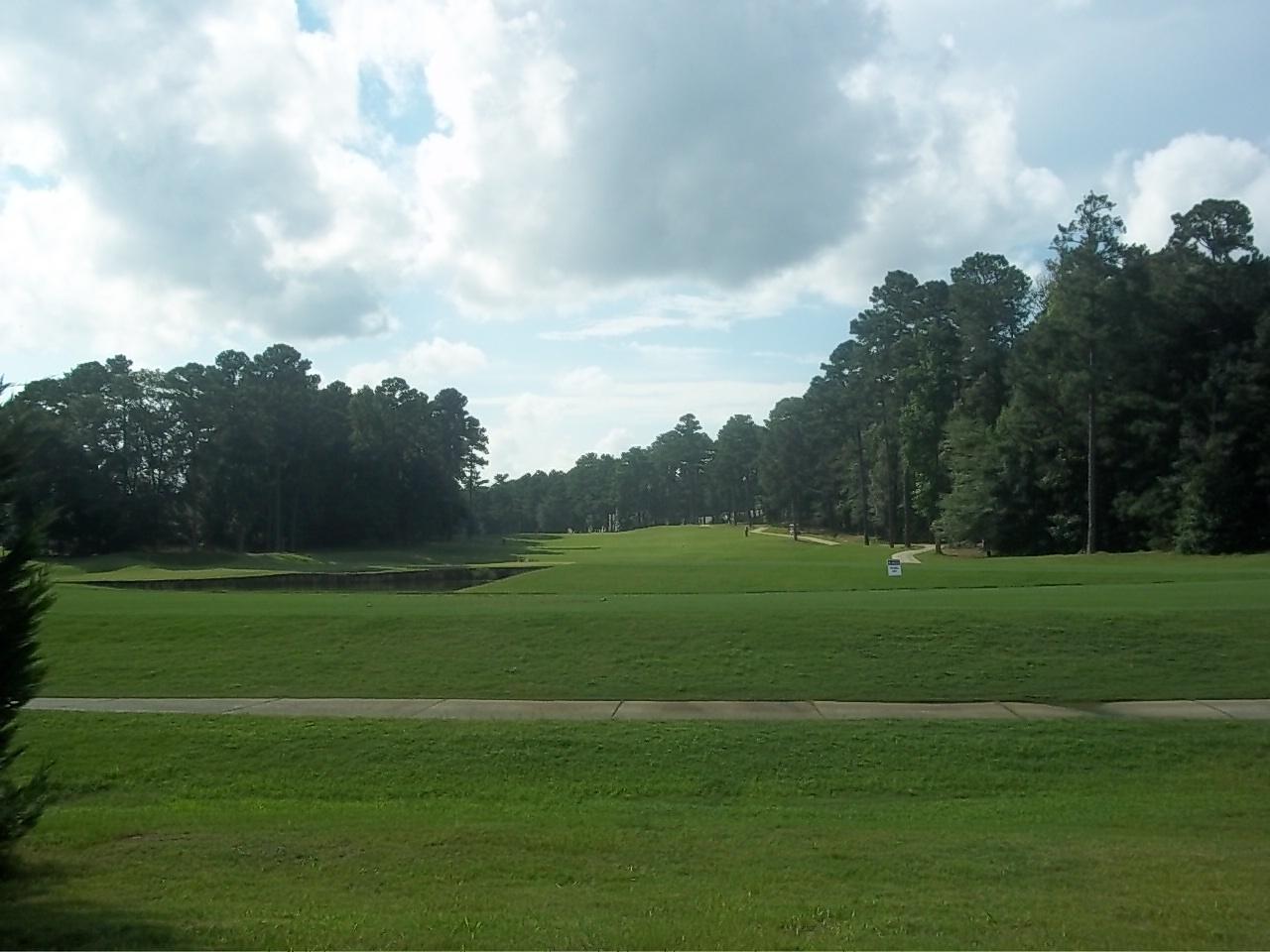 280 Linkmere Ln, Covington, GA 30014 photo 5