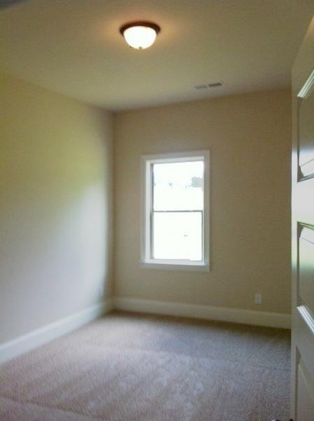 109 Snow Bird Dr, Hampton, GA 30228 photo 17