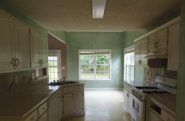 10788 Misty Meadows Pl, Hampton, GA 30228 photo 3