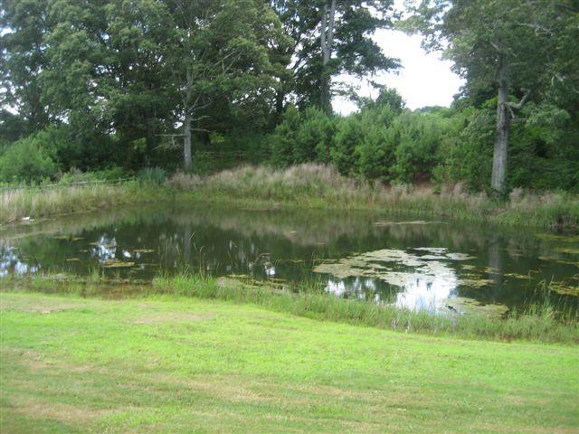 155 Pomona Rd, Griffin, GA 30223 photo 10