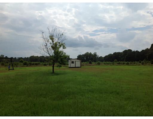393 Archer Rd, Guyton, GA 31312 photo 6