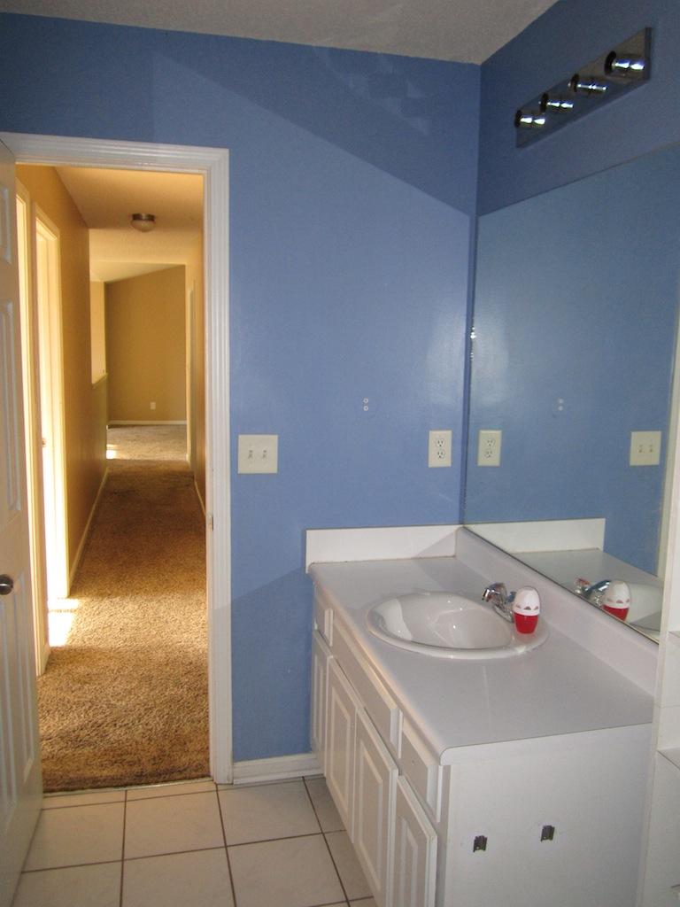 1158 Locust Dr, Bethlehem, GA 30620 photo 8