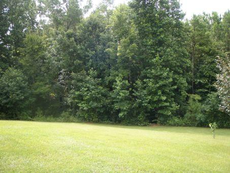 247 Frost St, Franklin, GA 30217 photo 2