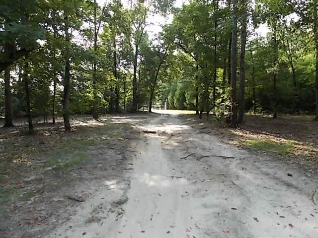 757 Log Landing Rd, Springfield, GA 31329 photo 22